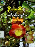 ပတ်ဝန်းကျင်ကမြတ်ဓမ္မ